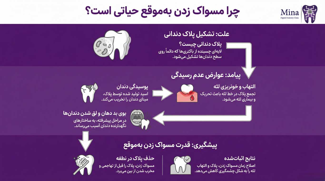 تأثیر مسواک زدن بر باکتری‌ها و سلامت دهان